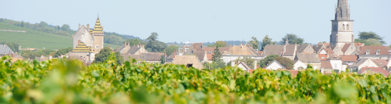 Domaine Xavier Monnot